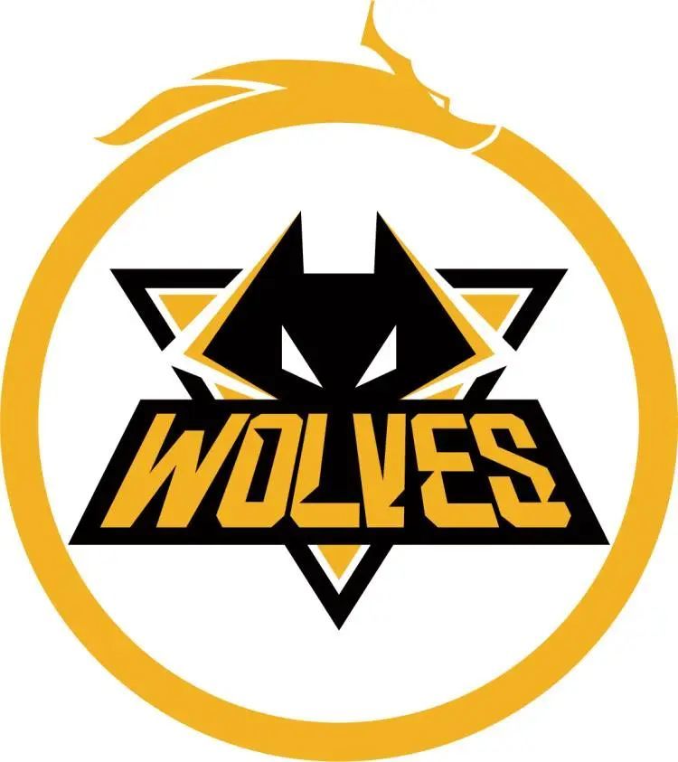 LPL S赛晋级战队已定，JDG、TES、EDG、RNG即将出征S12